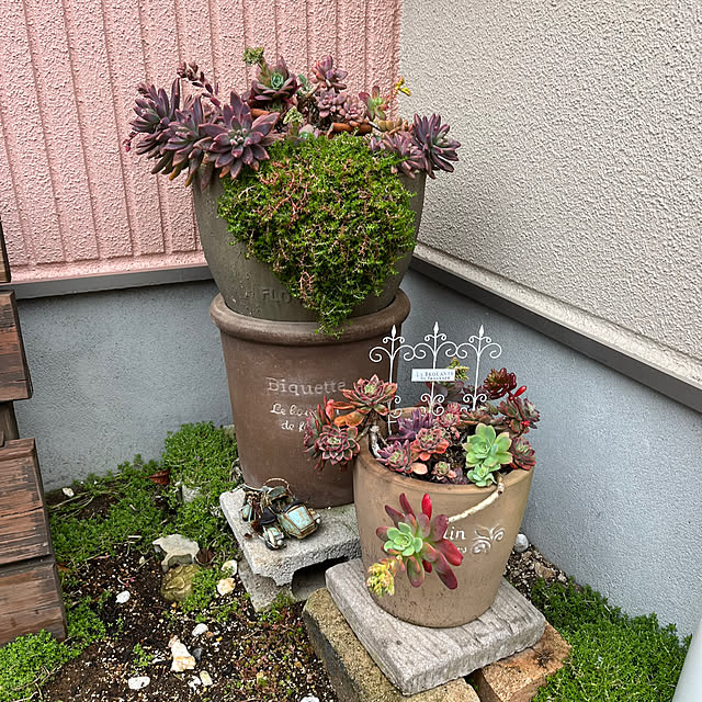 pekoさんの実例写真