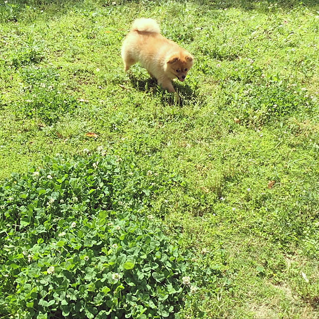 samiさんの実例写真