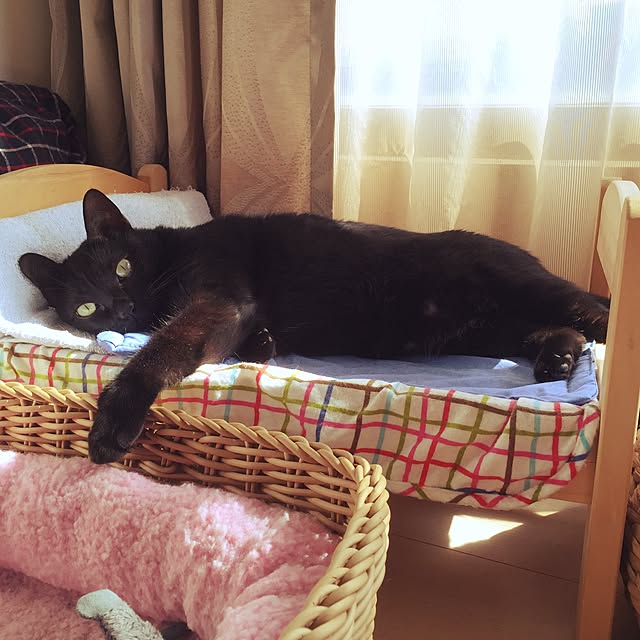 Chia-lingさんの実例写真