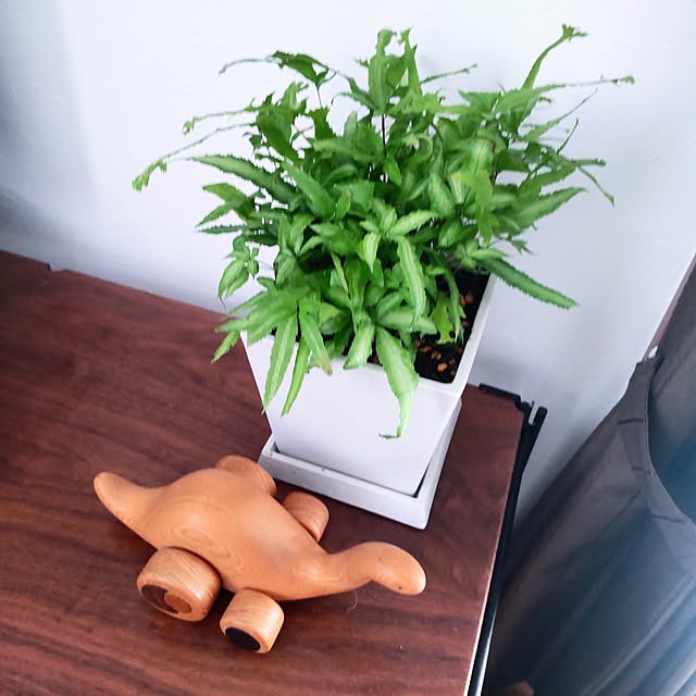 NSDさんの実例写真