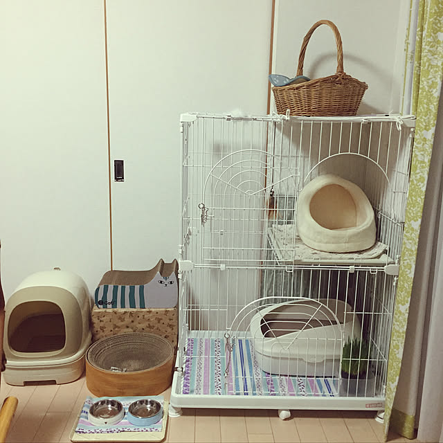 pansanさんの実例写真