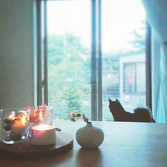 mayuさんの実例写真