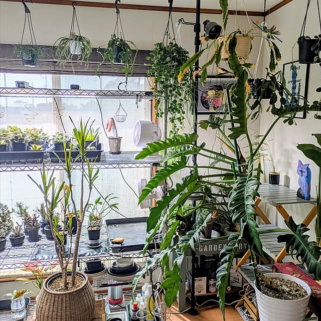 ot-gardenさんの部屋