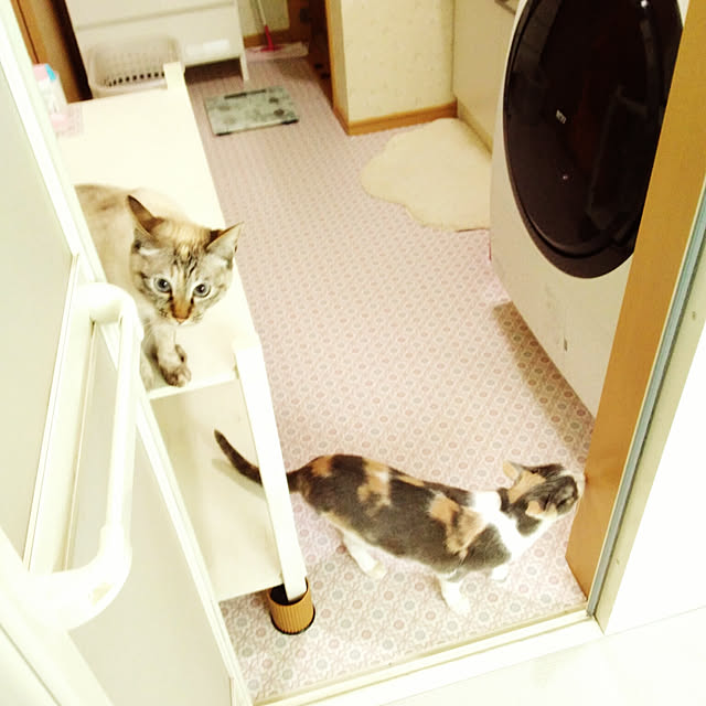 sisimaru1023さんの実例写真