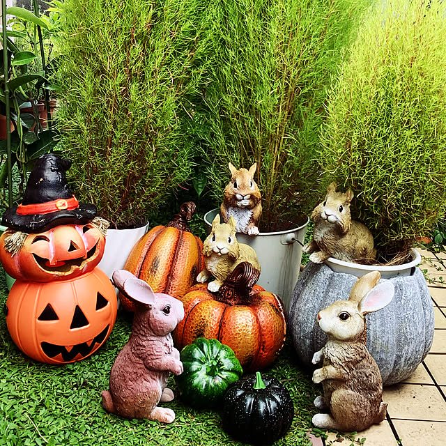taeさんの実例写真