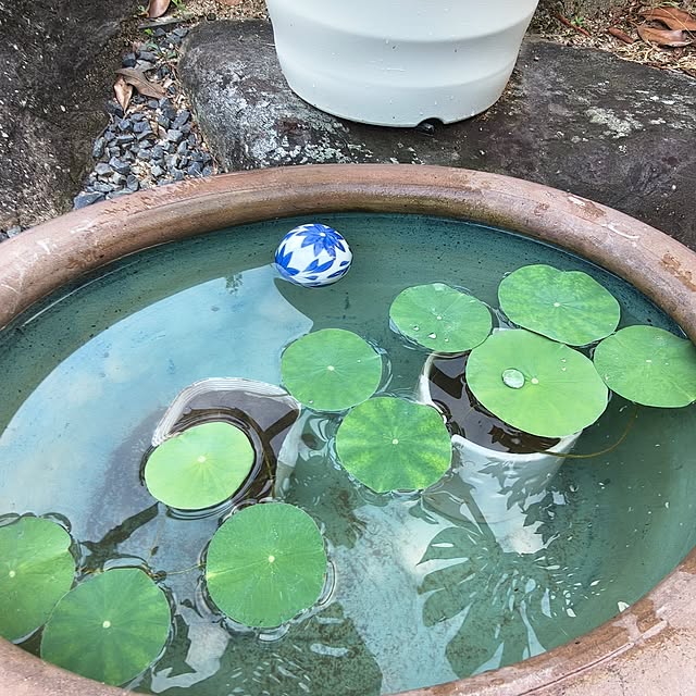 Rubiconさんの実例写真