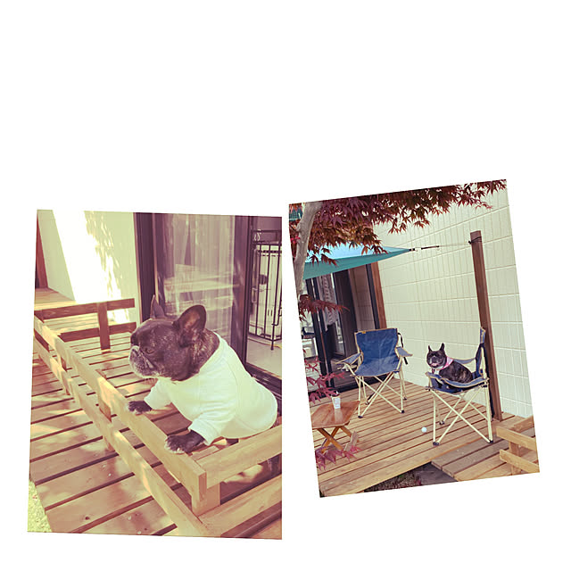 yattamanさんの実例写真