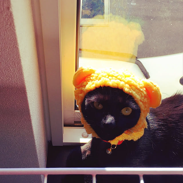 nanaさんの実例写真