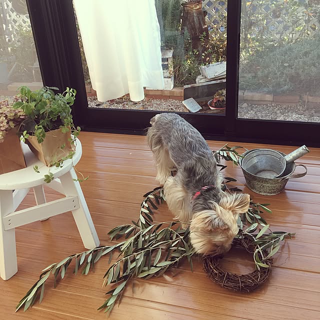 mayuoさんの実例写真