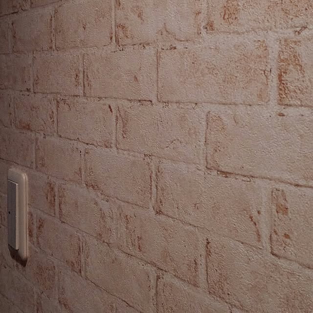 壁/天井のインテリア実例 - 2017-06-01 11:03:49