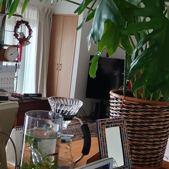 salacocoさんの実例写真