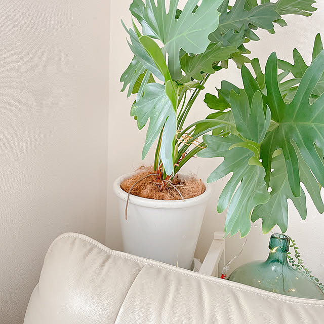 akiko-ovさんの部屋