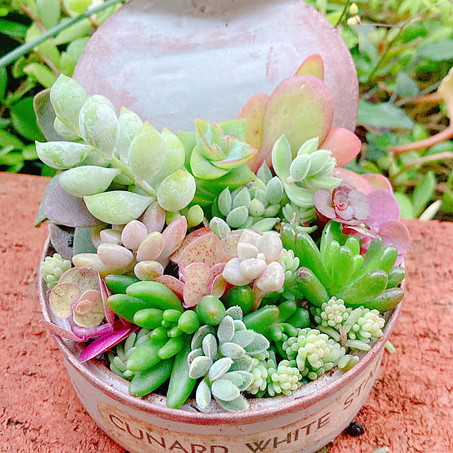 Hanakaさんの実例写真