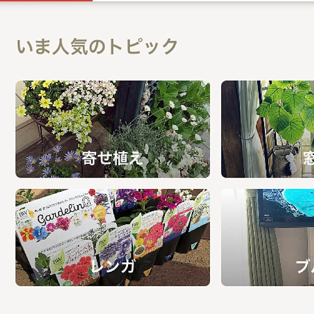 hoshimamaさんの実例写真