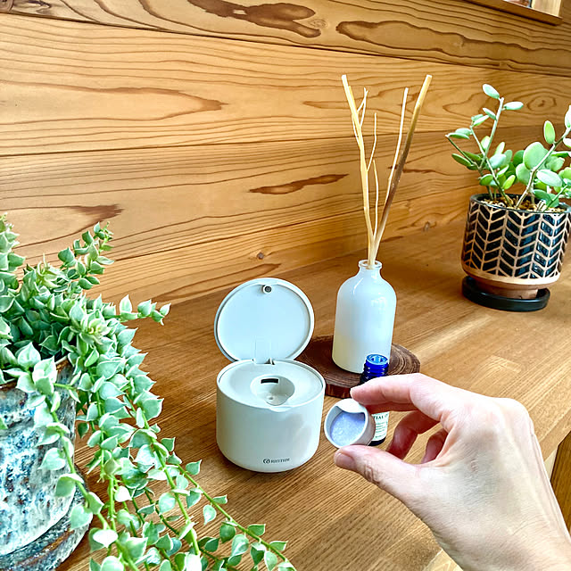 green.green.greenさんの実例写真