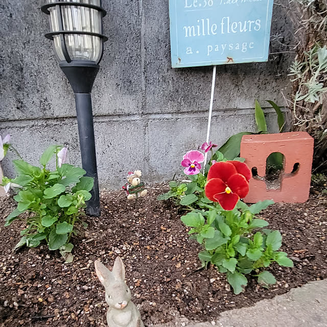 natyenaoさんの実例写真