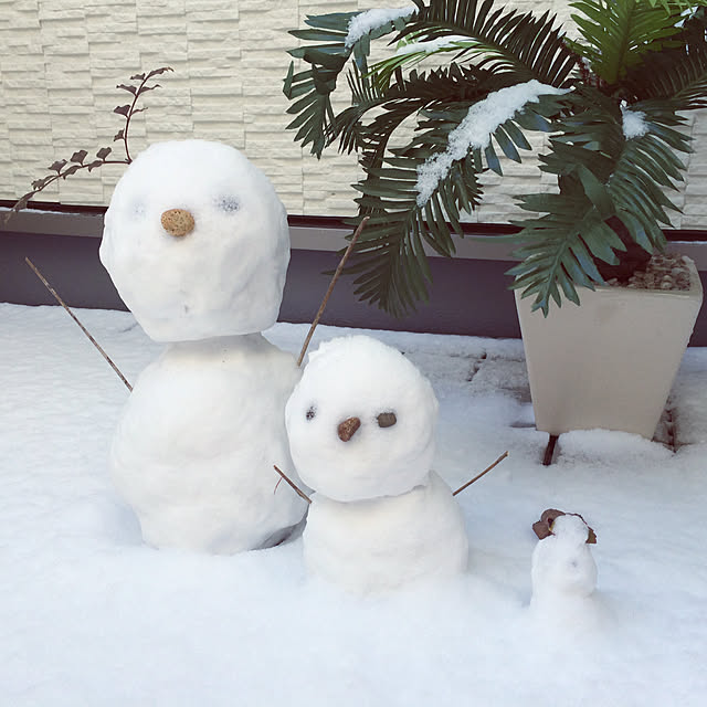Mamiyさんの実例写真