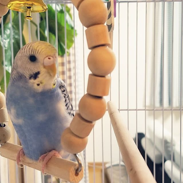 miiさんの実例写真