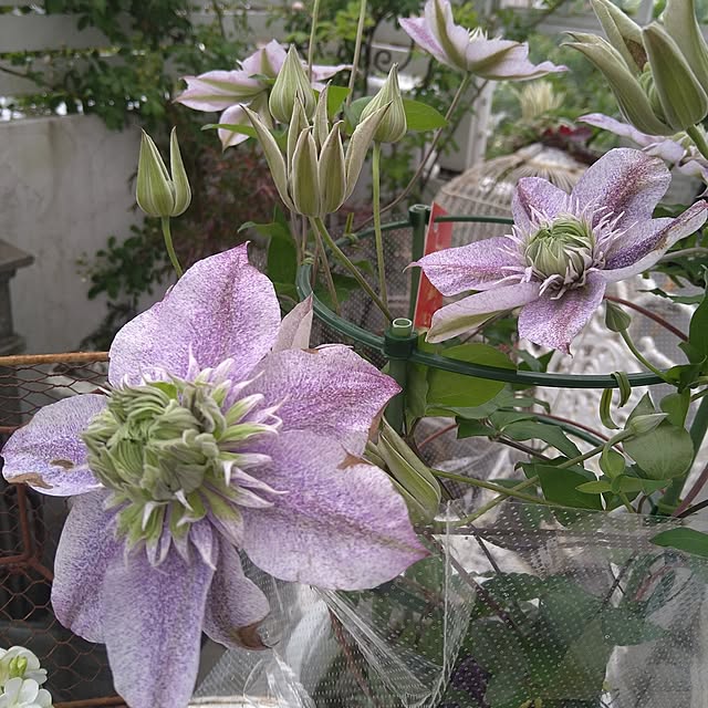 kiyosukeさんの部屋