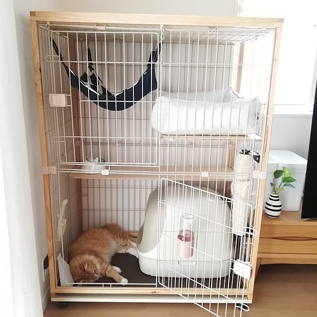 pinokoさんの実例写真