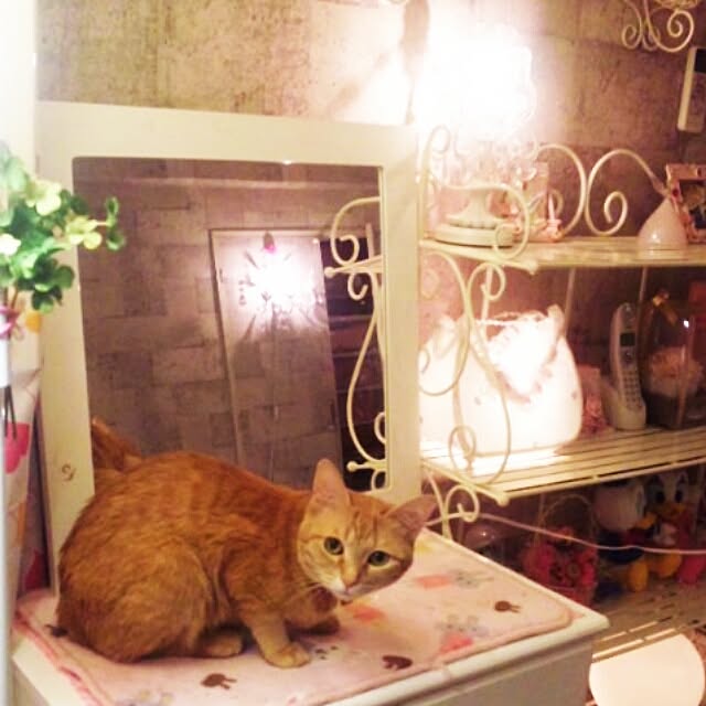 fu-ka24さんの実例写真