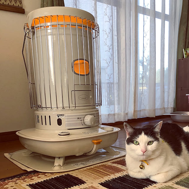 miiko3さんの実例写真