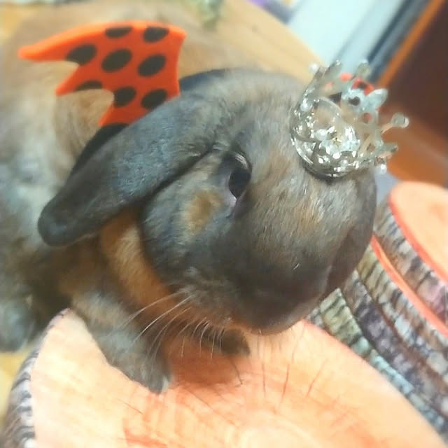 mariaさんの実例写真