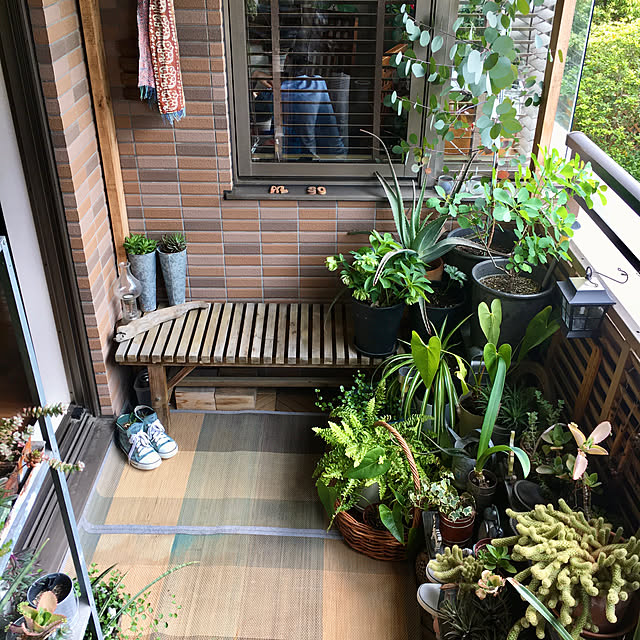 kan2さんの実例写真