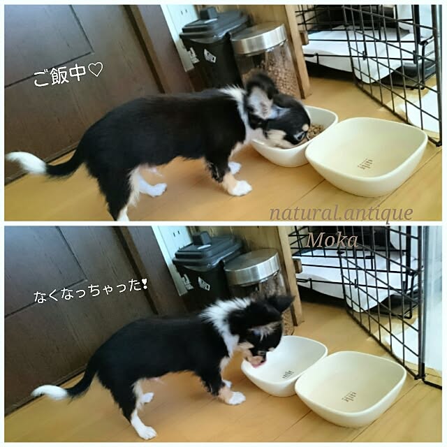 Mokaさんの実例写真