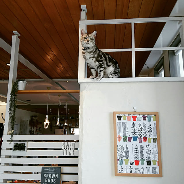 asmaさんの実例写真
