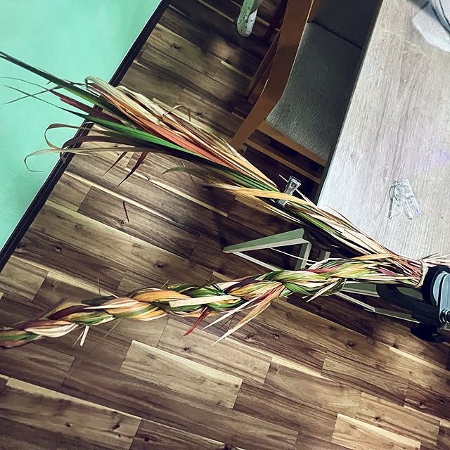 SquarePantsさんの部屋