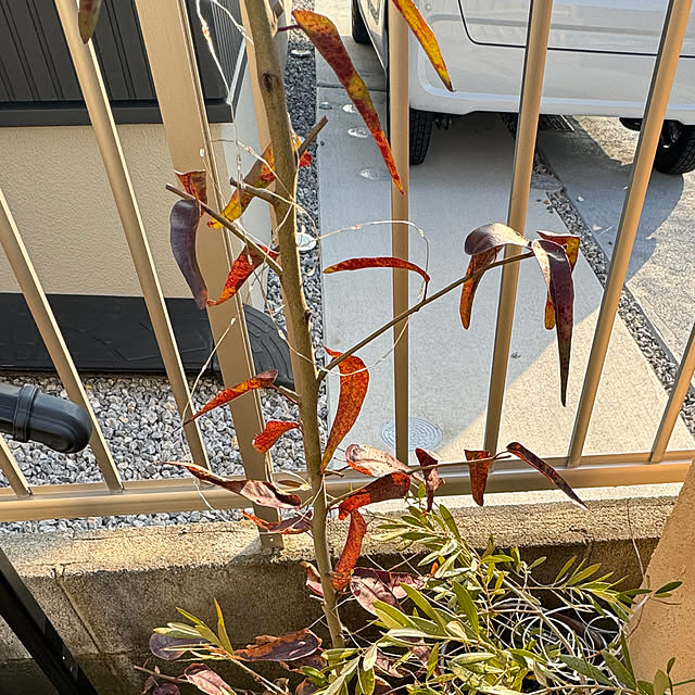 usakoさんの部屋