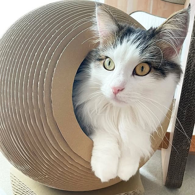 tetukoさんの実例写真