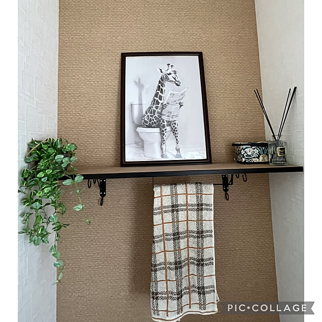 izuさんの実例写真