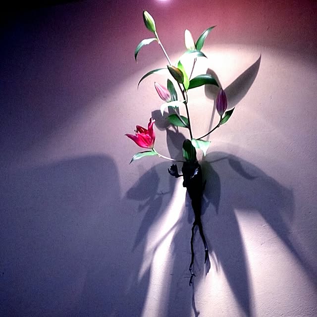 Gravityさんの実例写真
