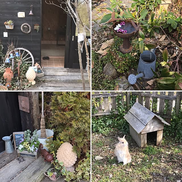 Mackyさんの実例写真