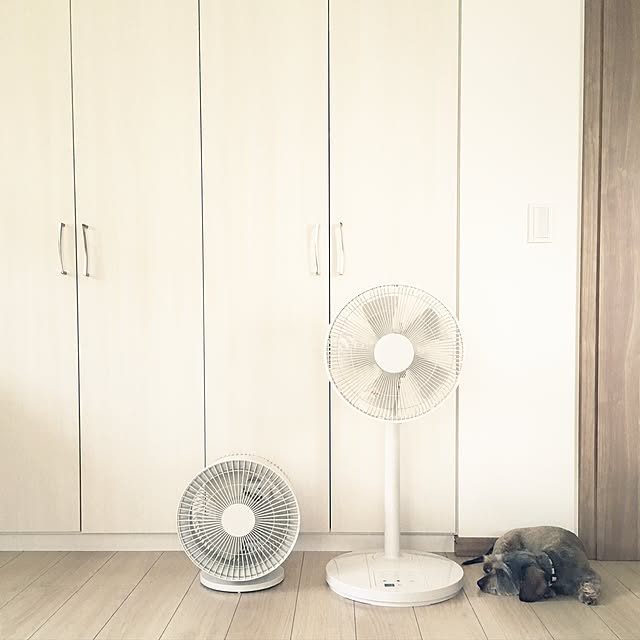 risako1107さんの実例写真