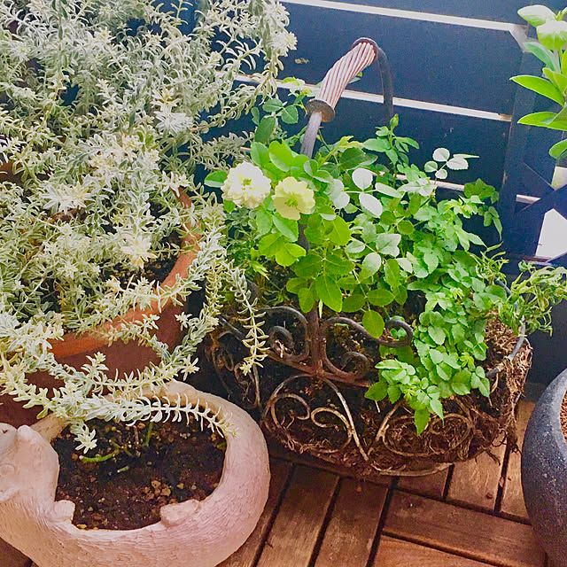 naokoさんの部屋