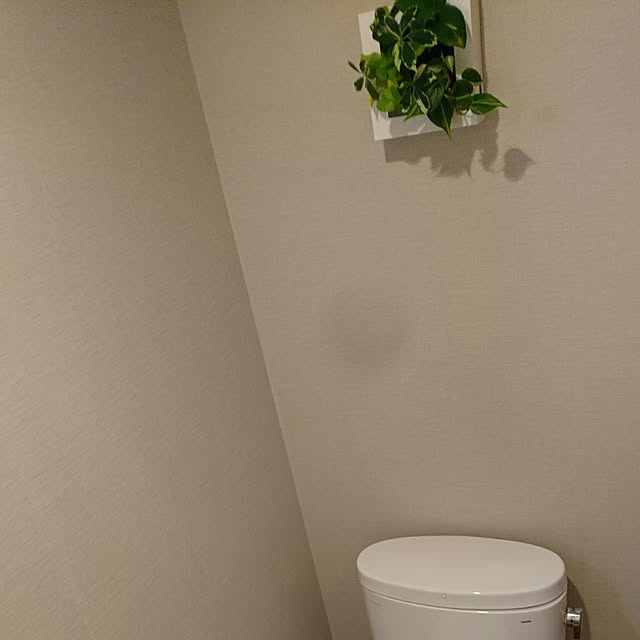 kumaさんの実例写真