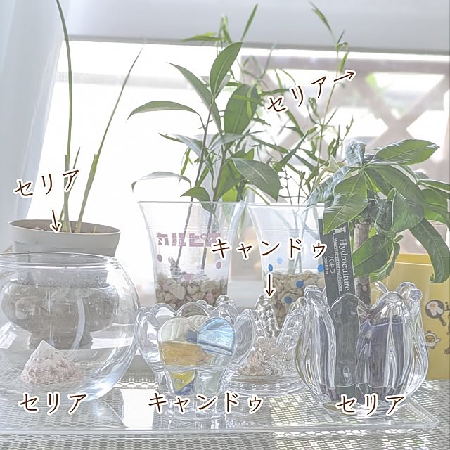 mi-saさんの部屋