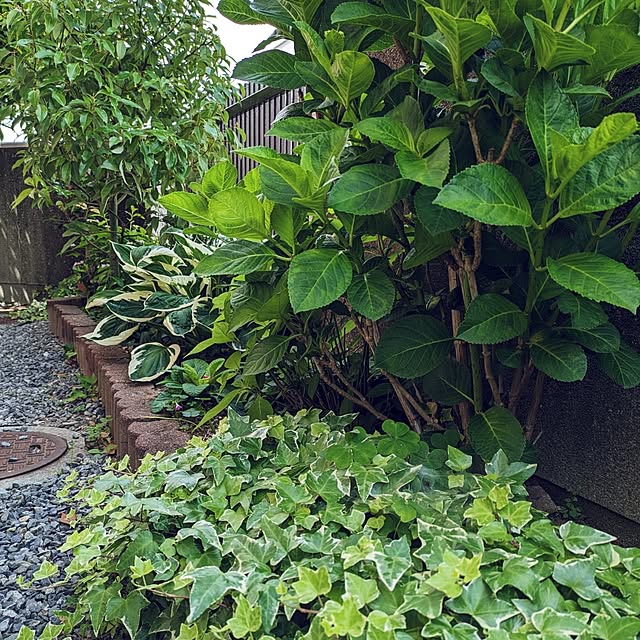Renさんの実例写真