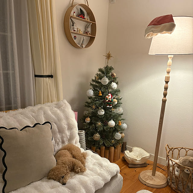 chii_saさんの実例写真