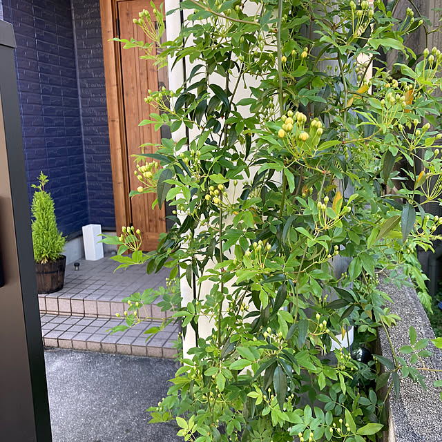 FUJICOさんの部屋