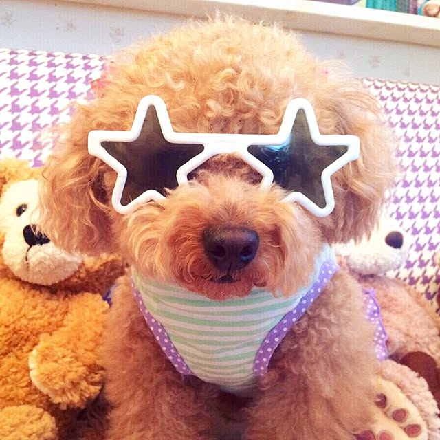 HappyRoseさんの実例写真