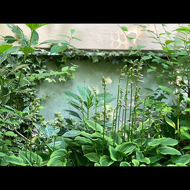 Kikko.さんの実例写真