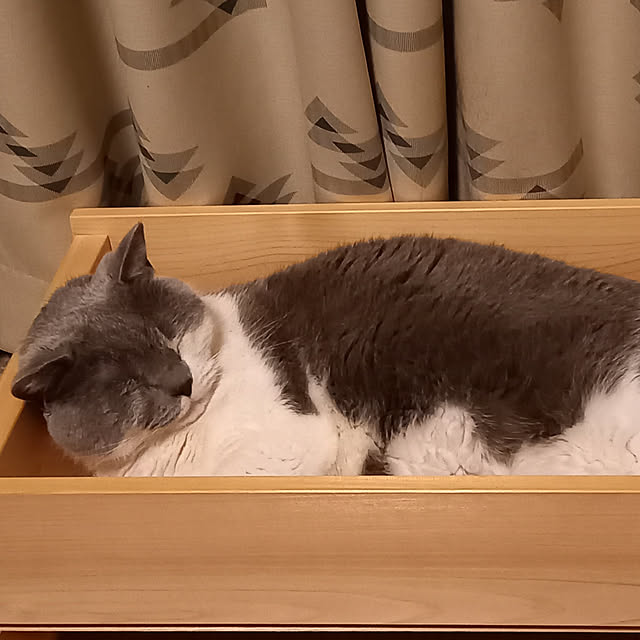 rhuさんの実例写真