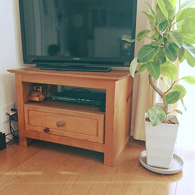 Green-leaf.1206さんの実例写真