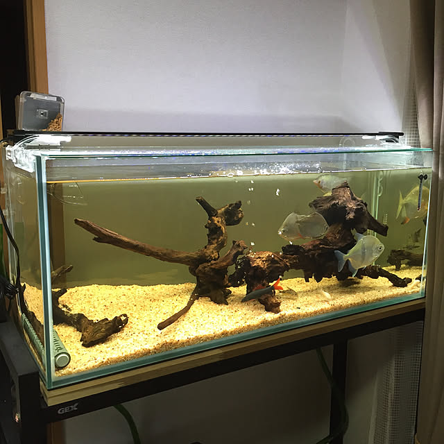 Takeさんの実例写真