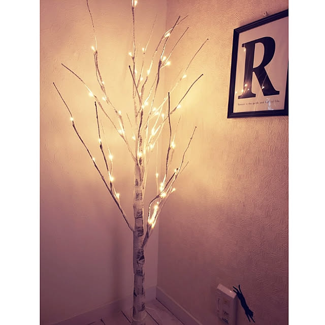RITZさんの実例写真