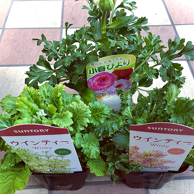 hinamamaさんの実例写真